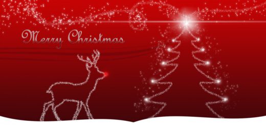 Weihnachtsgruß 2015