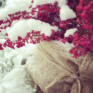 Winterheide Dekoration