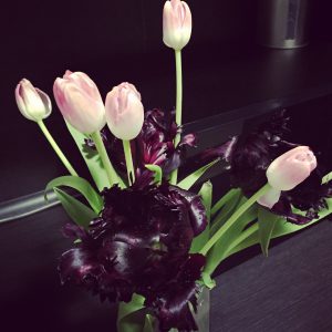 Papageientulpen in der Vase