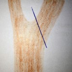 Schnitt gleichrangiger Ast