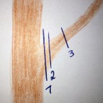 Schnitt ohne Astring