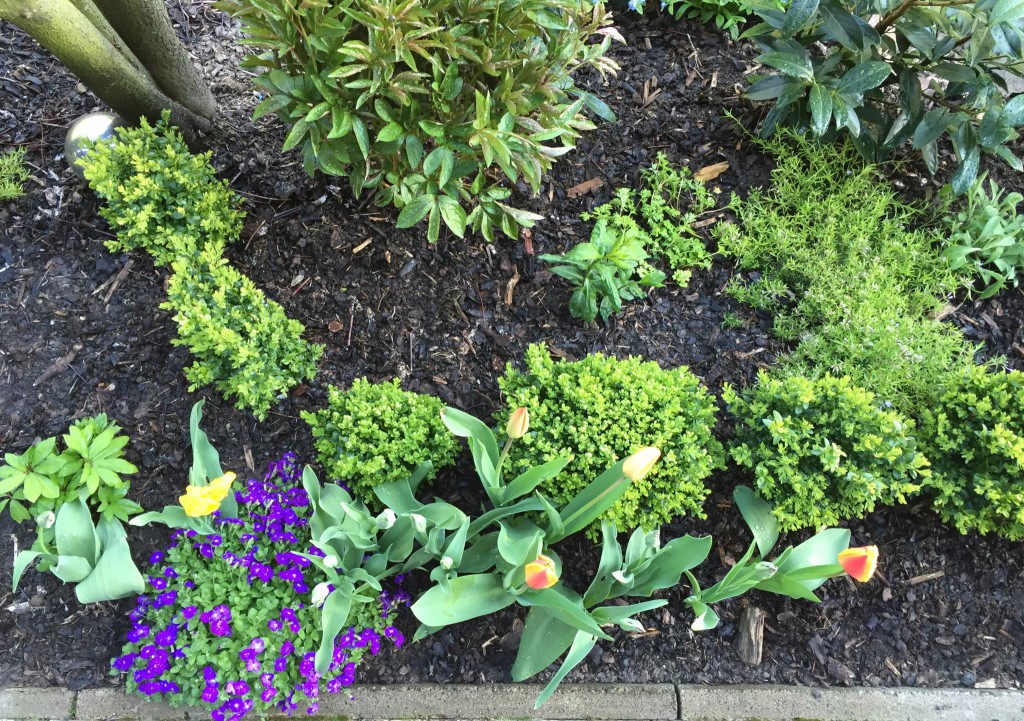 Terrassenbeet 2016 A