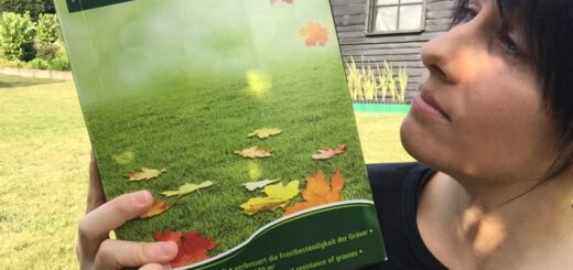 Herbstrasendünger Alexandra