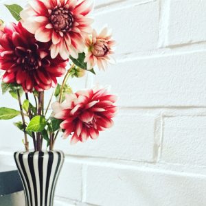 Schönes für die Vase Dahlien sonnenbeet.de