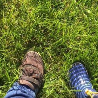 Beitragsbild herrlicher Herbsttag Video