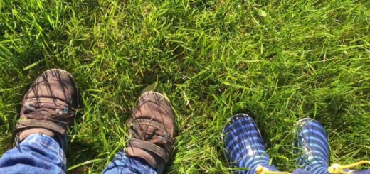 Beitragsbild herrlicher Herbsttag Video