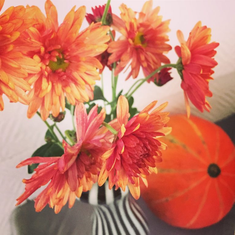Schönes für die Vase Dahlien sonnenbeet.de