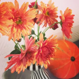 orange Aster in der Vase mit Kürbis