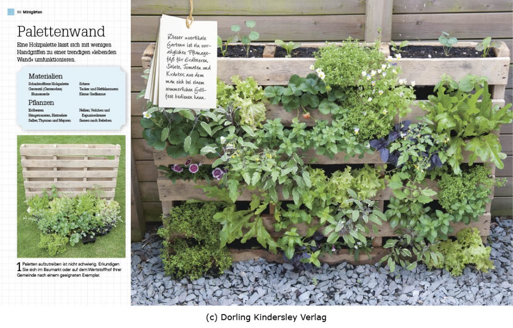 innenseiten-minigaerten-c-dorling-kindersley-verlag-neu