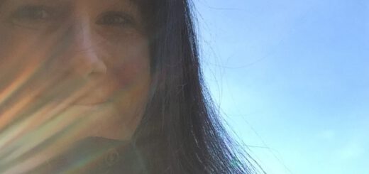 beitragsbild-gartenjahr-2016-neu