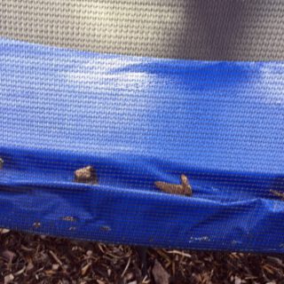 trampolinrand-im-herbst