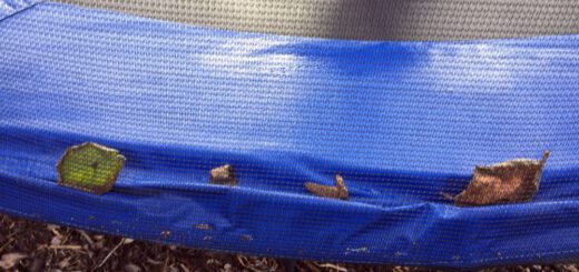 trampolinrand-im-herbst