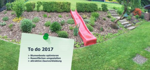 garten-rueckseite-to-do