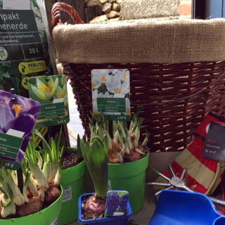 holzkorb-bepflanzen-material