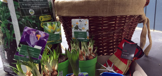 holzkorb-bepflanzen-material