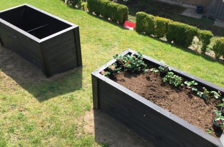 Das glückliche Hochbeet im gemischten Doppel sonnenbeet.de
