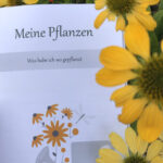 Meine Pflanzen aus dem Gartennotizbuch Echinacea von Bele Blum